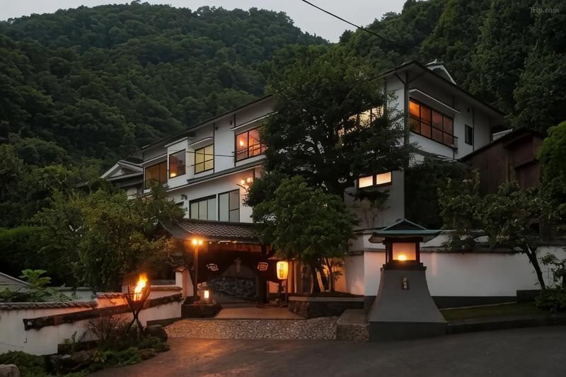 Beppu Showaen: Your Private Sanctuary of Luxury and Serenity in Japan's Onsen Capital