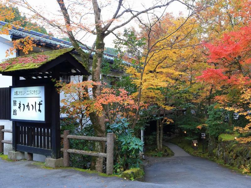 구로카와 온천 료칸 와카바: 아늑한 가족탕과 정통 로컬의 매력이 어우러진 규슈의 숨겨진 보석
