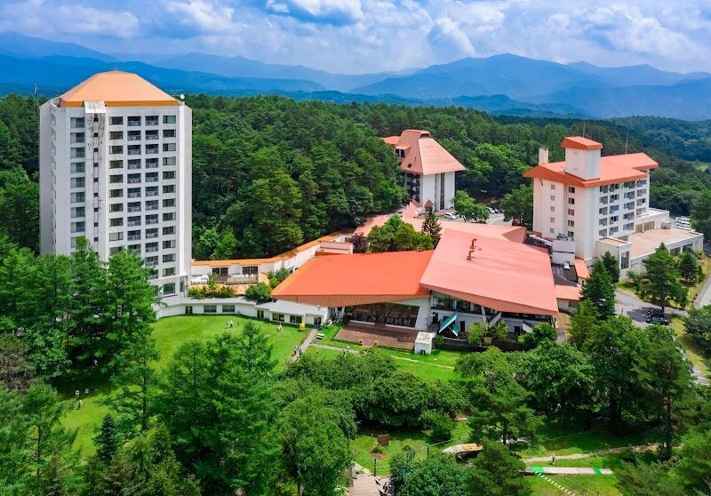 문신 허용! 쿠사츠 온천의 숨겨진 보석, 진정한 로컬 감성 쿠사츠 온천 펜션 완벽 가이드