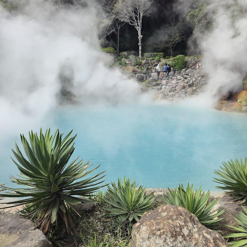 Ryoutei Matsudaya: A Serene Escape into Beppu's Luxury Onsen Legacy, Featuring Exquisite Private Baths and Timeless Elegance
